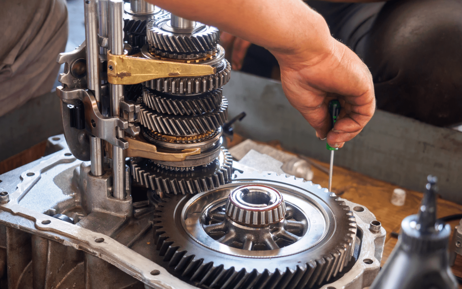 Primary Banner